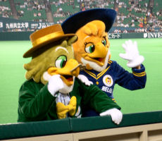 ホンキー&ヘレンホーク