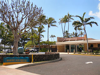 ワイキキ水族館外観