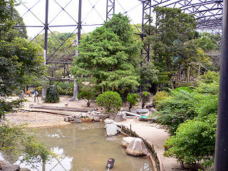 鳥の楽園