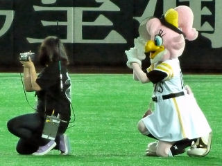 ハニーホーク