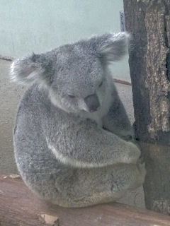 RA