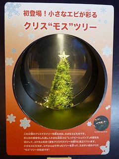 クリスモスツリー