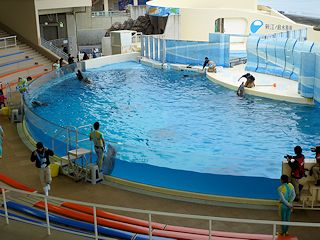 イルカショースタジアム