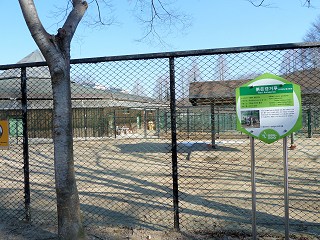 屋外のオーストラリア館