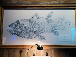 シーラカンスの魚拓