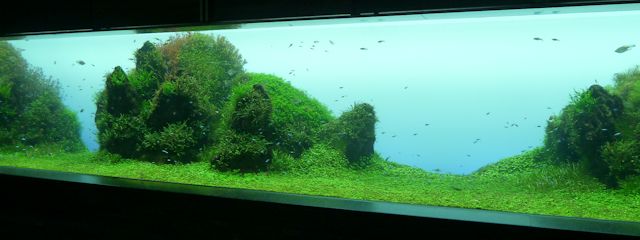 水のきらめき〜自然水景〜