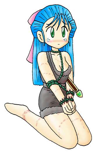 DQ5���z��̕��̃t���[���@24KB