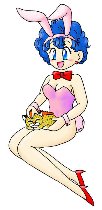 SFC��DQ5���C�i�b�c�@33KB