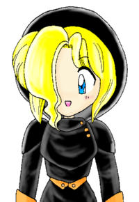 �V�����B�[�@16KB