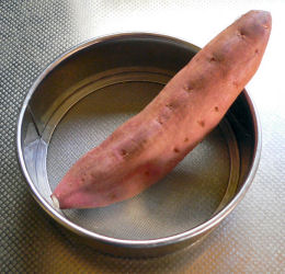 �������X�^���o�C�I