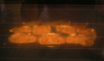 �C�t���[�g�L�����X�I