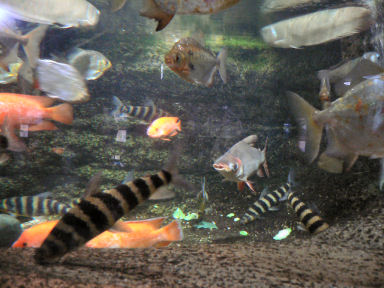 �A�}�]����