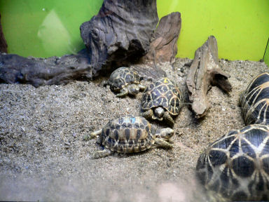 �Ȃ񂿂��z�V�K���������Ǝv��