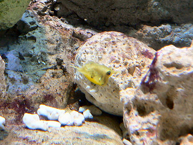 �E�~�X�Y���H