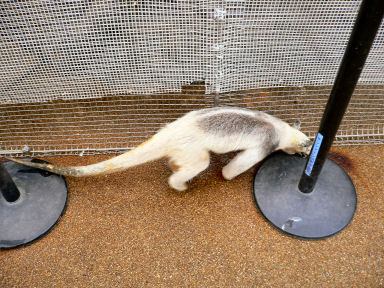 �~�i�~�R�A���N�C�c���΂��������I