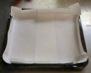 �V�Ɏ���~��