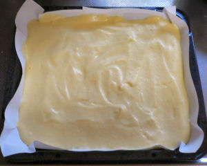 �V�ɗ�������