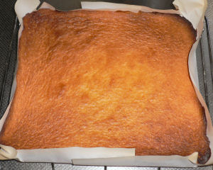 ���񂪂�L�c�l�F