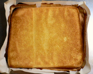 �z���g�͗��̐F�͔��������c