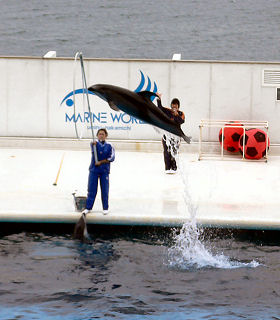 �ւ�����̃C���J