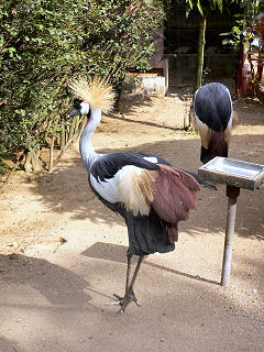 �J�������d��