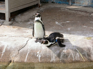 �y���M��