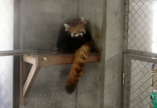 ���b�T�[�p���_