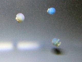 �u���[�u���[�o�[�Ȃ�N���Q