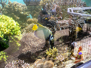 �^�e�W�}�`���E�`���E�E�I