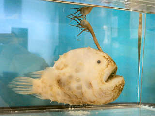 �`���E�`���A���R�E