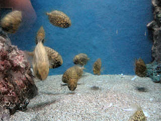 �}�c�J�T�E�I