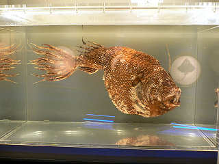 �r���A���R�E