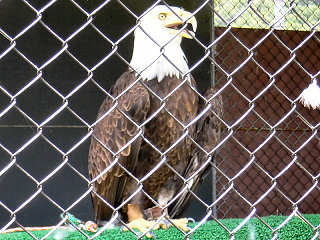 �n�N�g�E���V