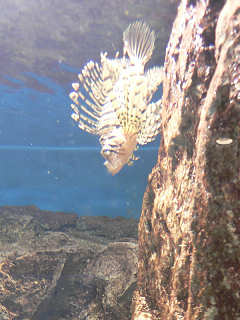 �~�m�J�T�S